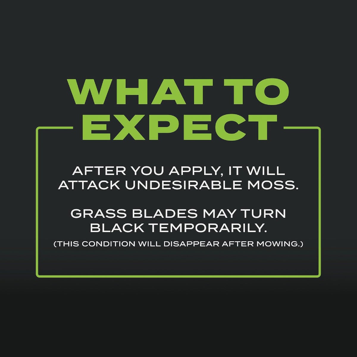 Scotts Turf Builder Triple Action 4000 Sq. Ft. 20 Lb. Moss Control & Lawn Fertilizer Image 5