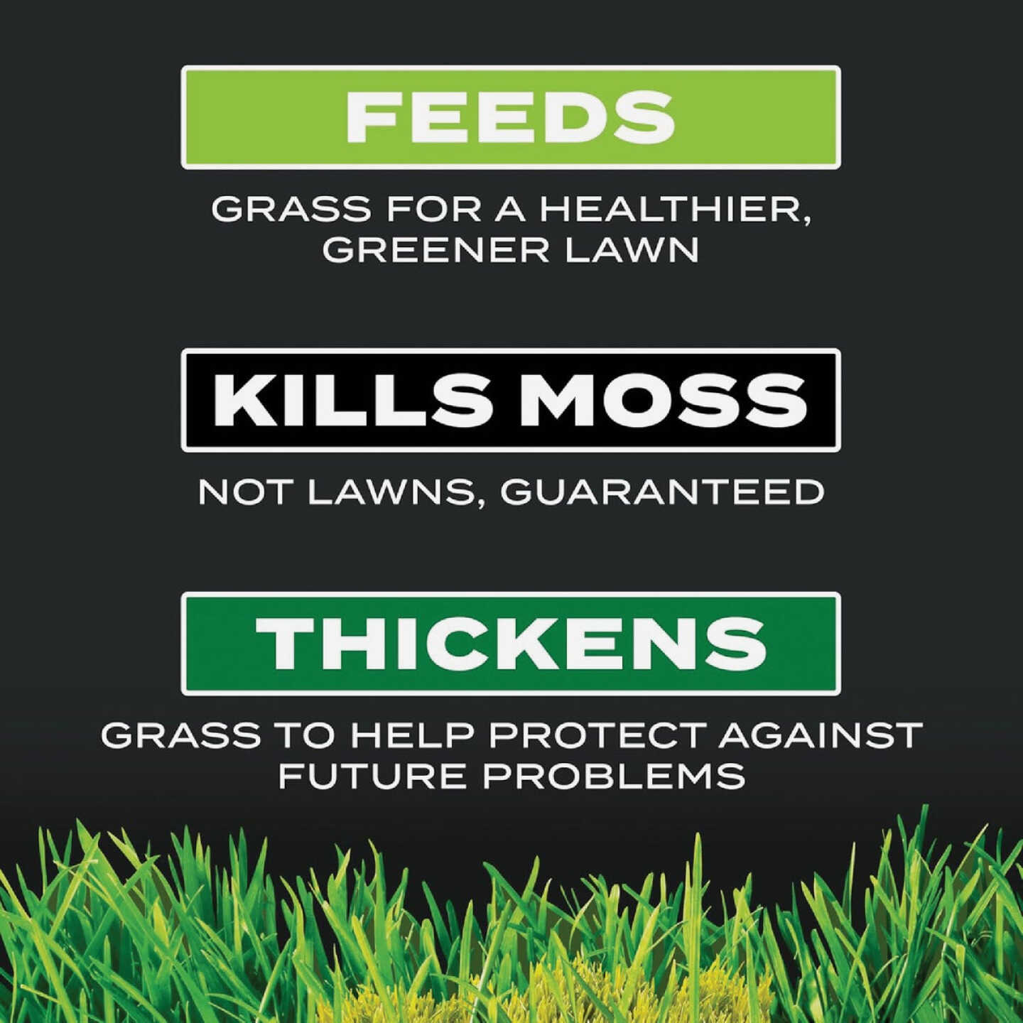 Scotts Turf Builder Triple Action 4000 Sq. Ft. 20 Lb. Moss Control & Lawn Fertilizer Image 2