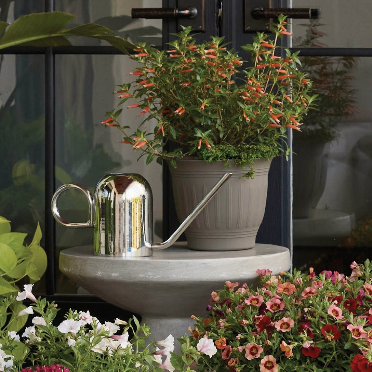 Bloem Crane 50 Oz. Metallic Watering Can Image 4