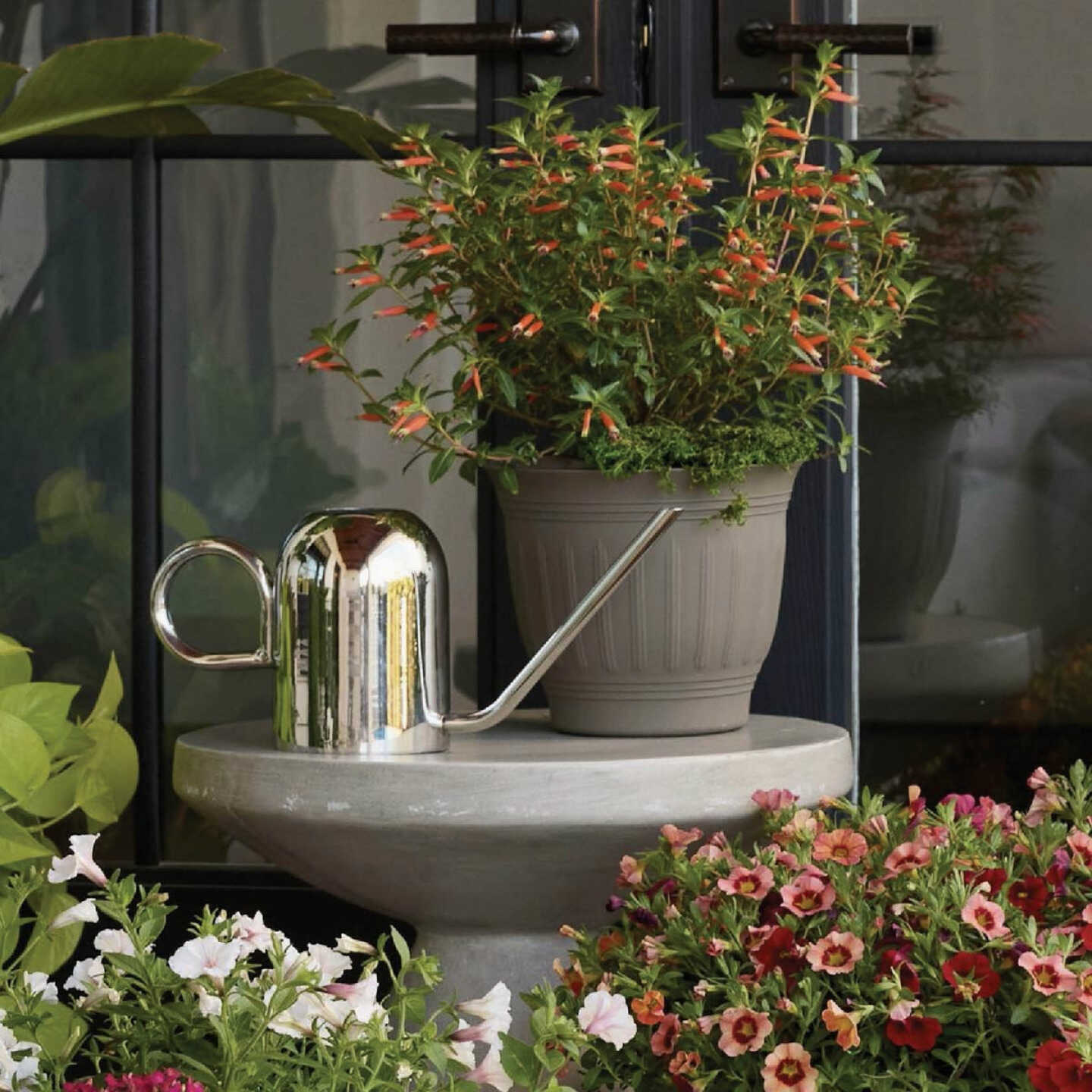 Bloem Crane 50 Oz. Metallic Watering Can Image 4