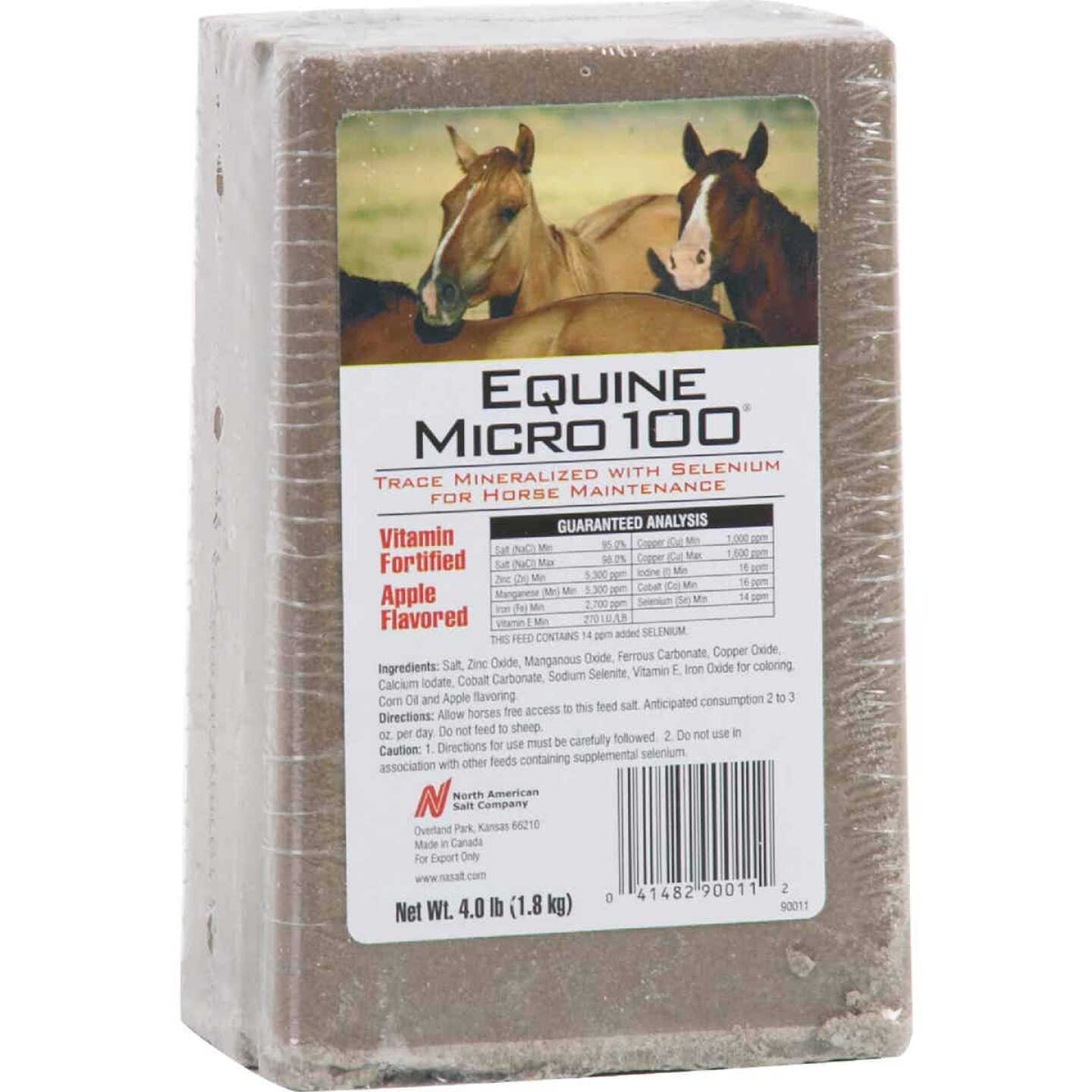 American Stockman Equine Micro 100 4 Lb. Apple Flavored Horse Block Image 1