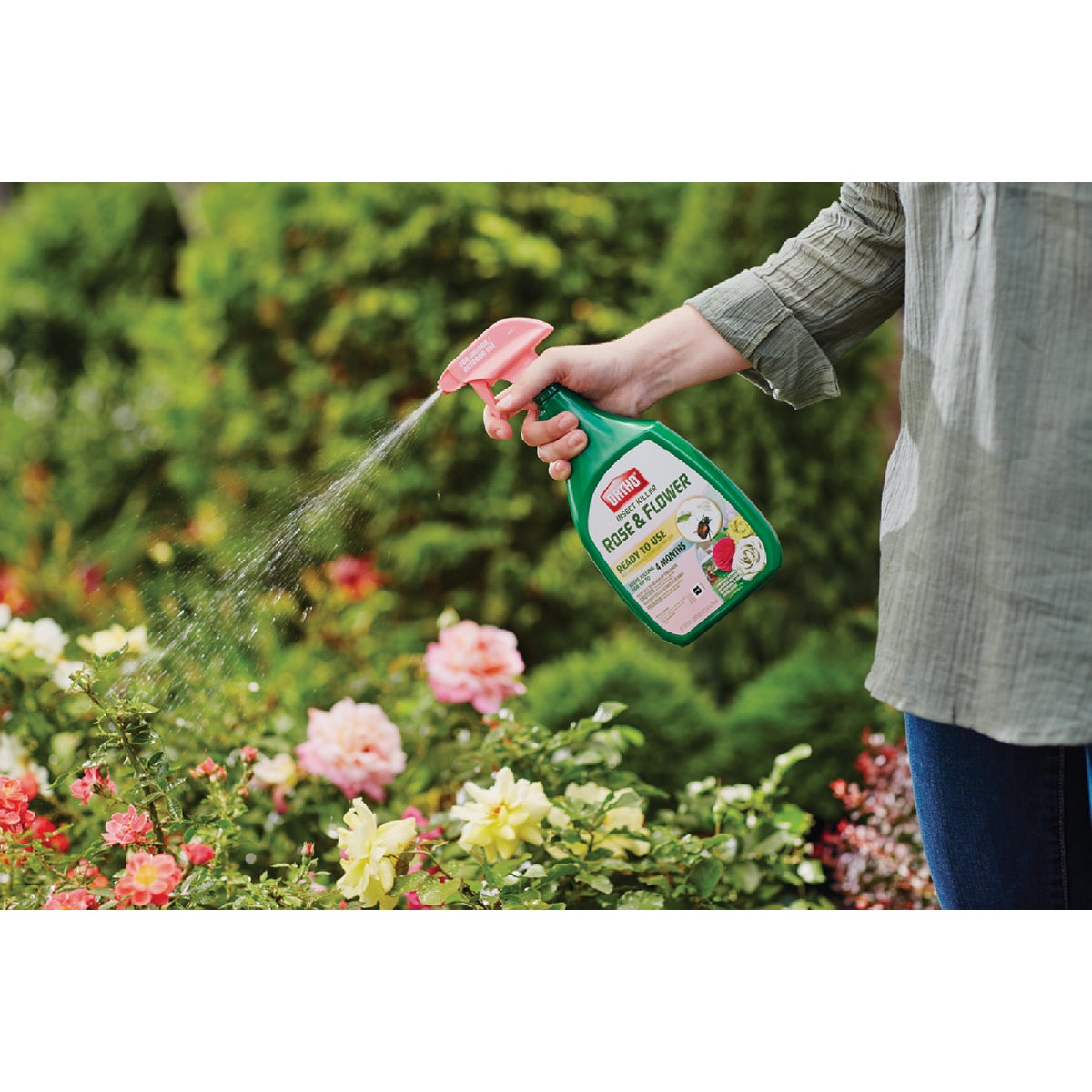 Ortho 24 Oz. Ready To Use Trigger Spray Rose & Flower Insect Killer Image 3