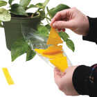 Intruder The Better Bugtrap for Plants Disposable Indoor/Outdoor Insect Trap (10-Pack) Image 4
