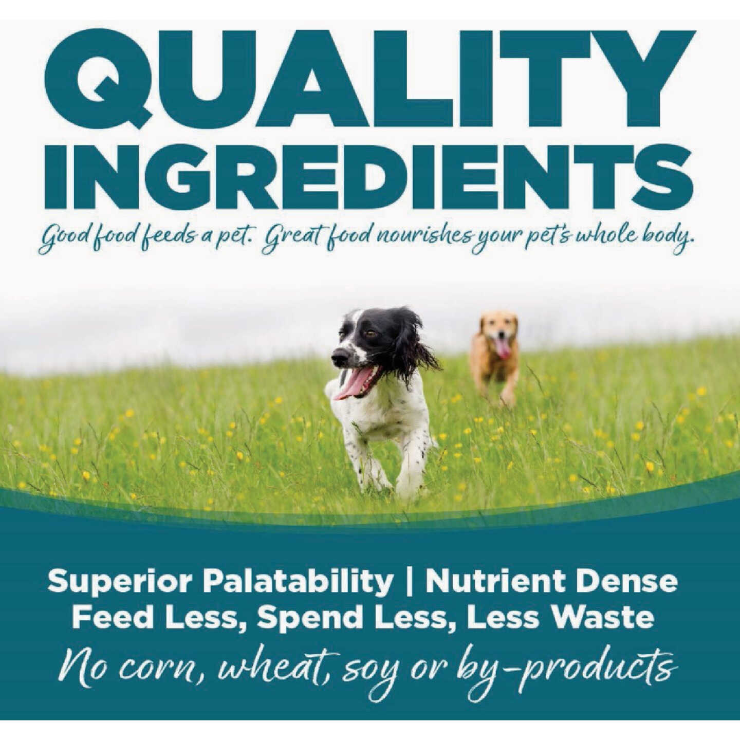 NutriSource 26 Lb. Chicken & Rice Recipe Dog Food Image 5