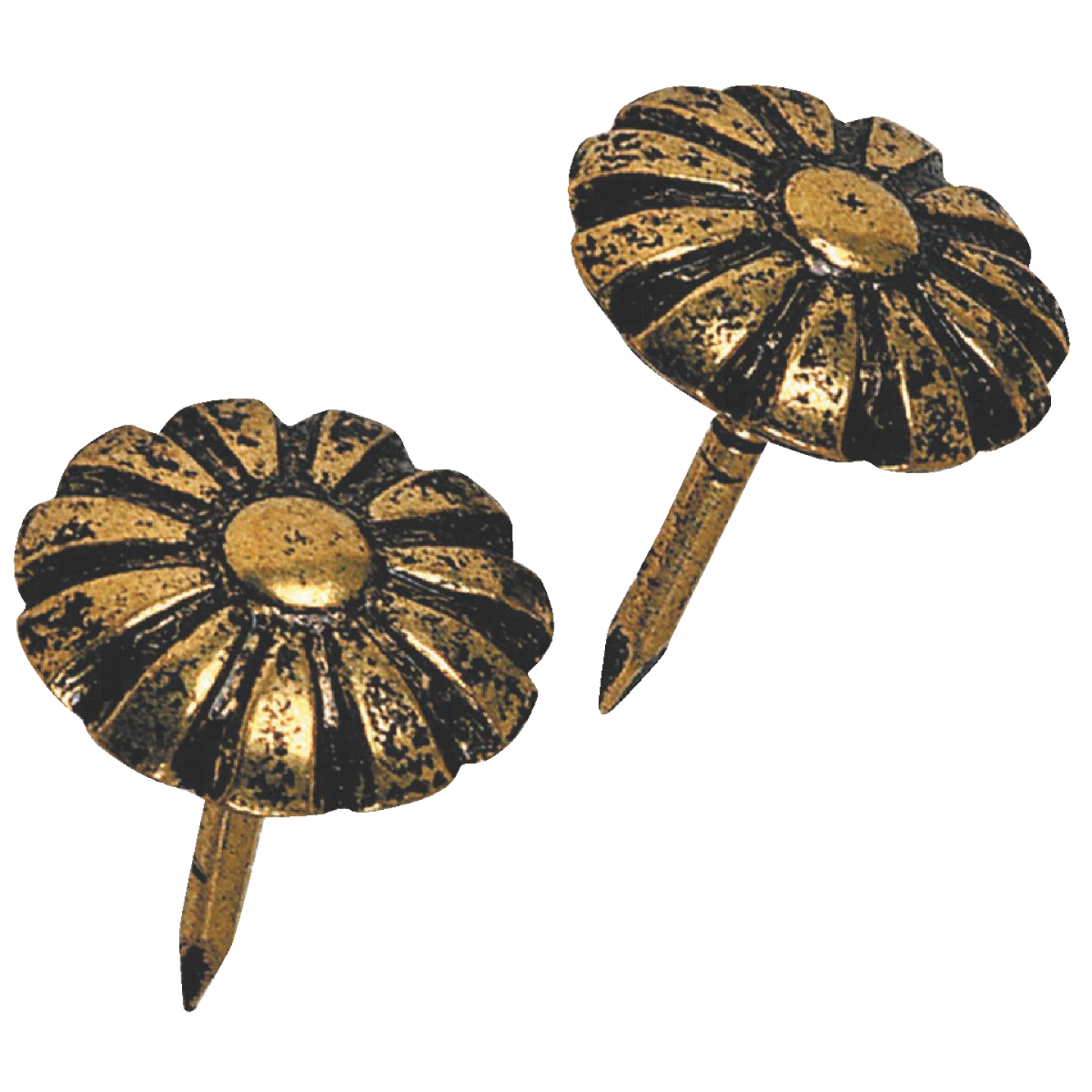 Hillman Fastener Corp Daisy Oxford Antique Brass Furniture Nail (25 Ct.) Image 1