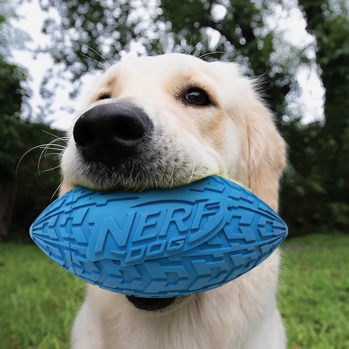 Nerf Dog 6 In. Rubber Tire Squeak Football Image 3