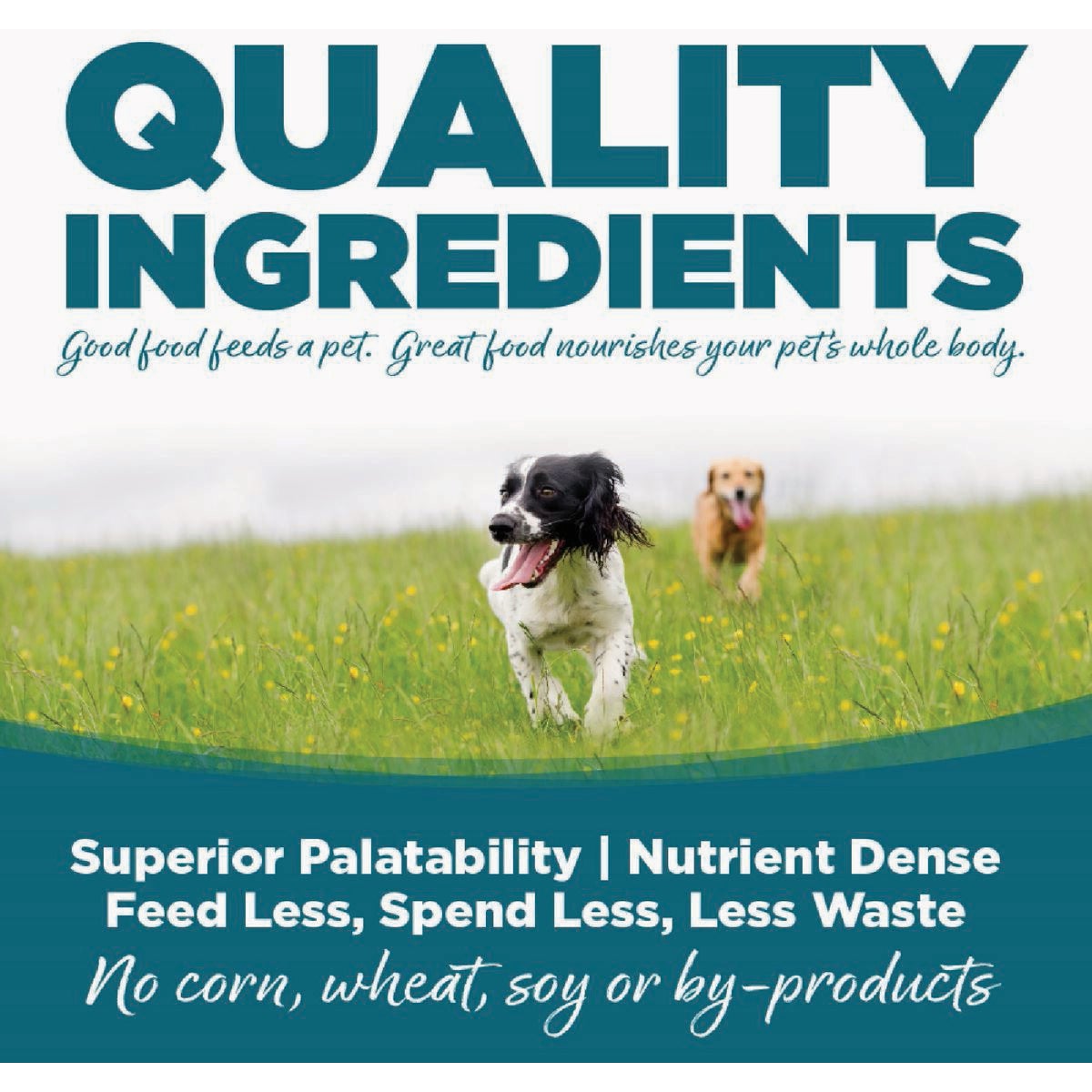 NutriSource 26 Lb. Beef & Rice Recipe Dog Food Image 5