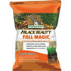 Jonathan Green Black Beauty Fall Magic 25 Lb. 6250 Sq. Ft. Coverage Sun & Shade Grass Seed Image 1