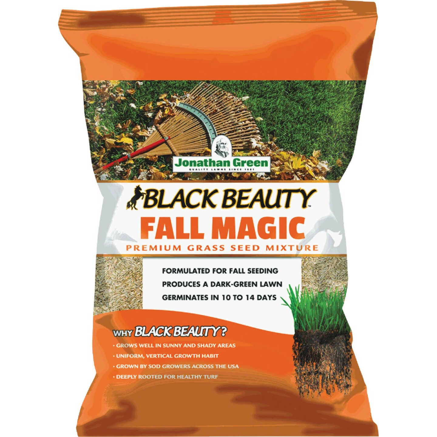 Jonathan Green Black Beauty Fall Magic 25 Lb. 6250 Sq. Ft. Coverage Sun & Shade Grass Seed Image 1