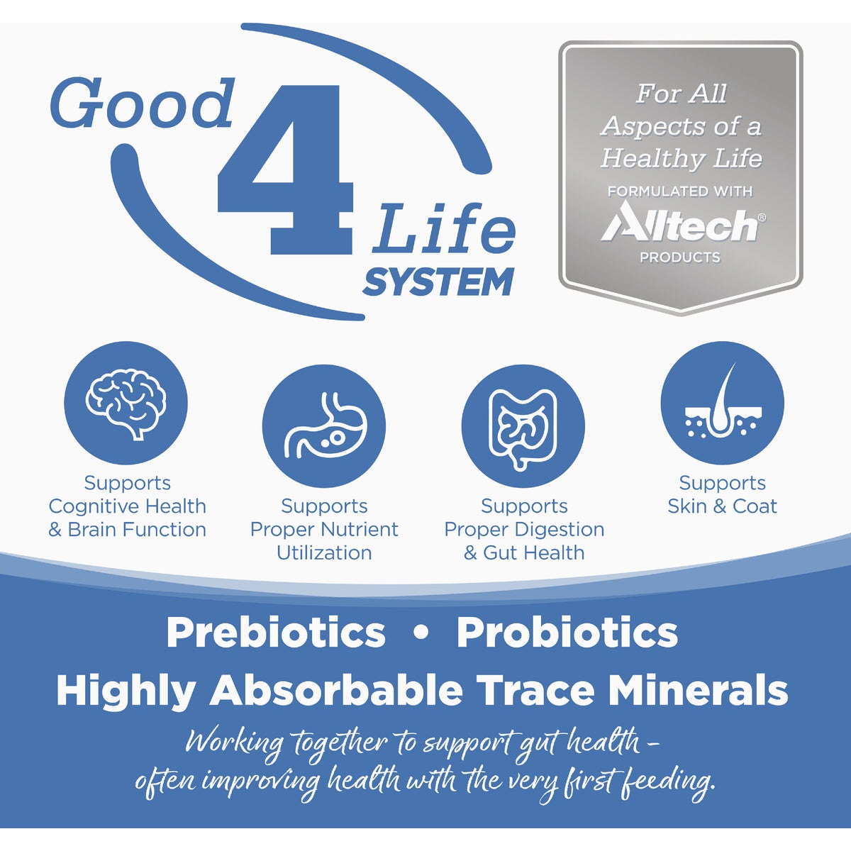 NutriSource 12 Lb. Chicken Meal, Salmon, & Liver Dry Cat & Kitten Food Image 4