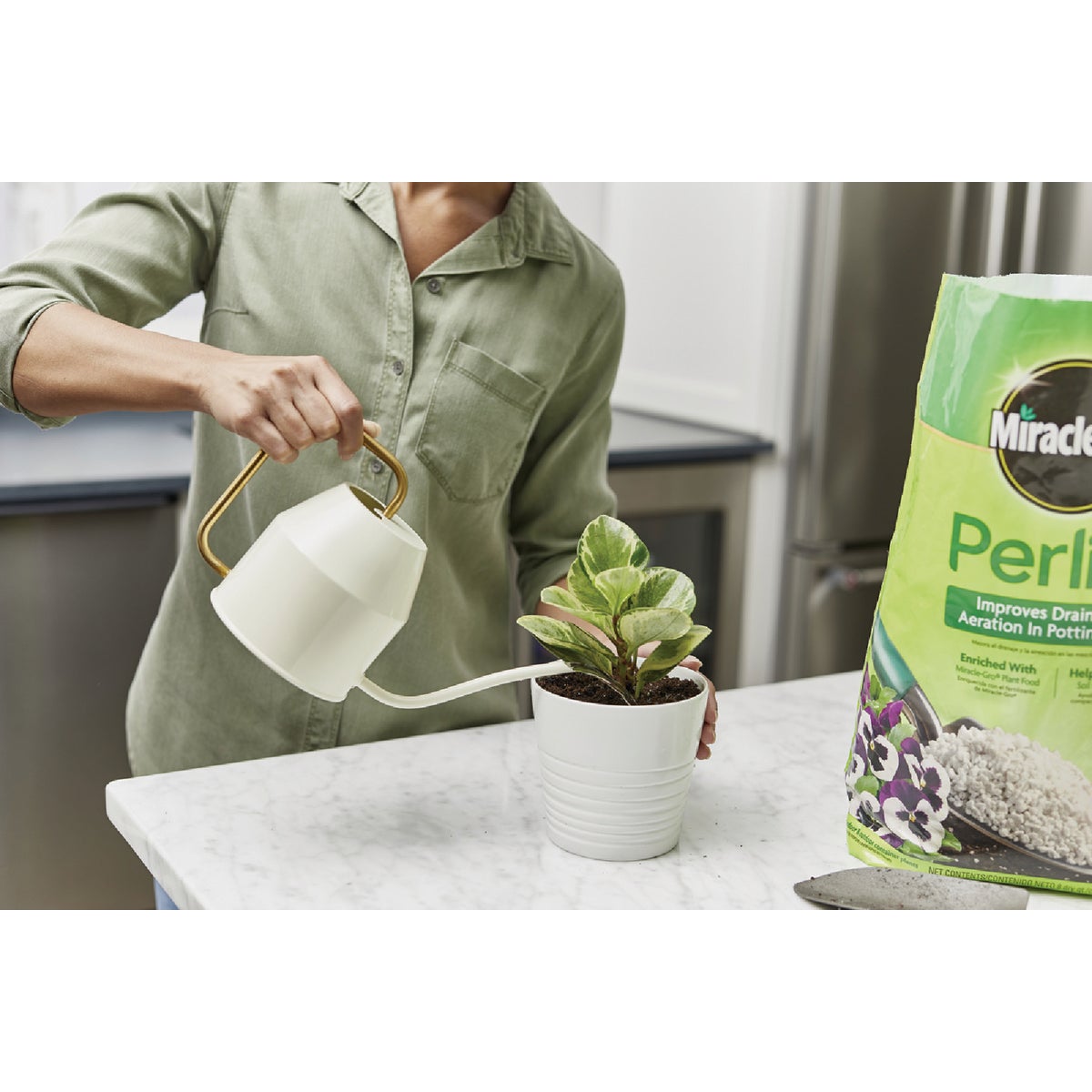 Miracle-Gro Perlite Image 3