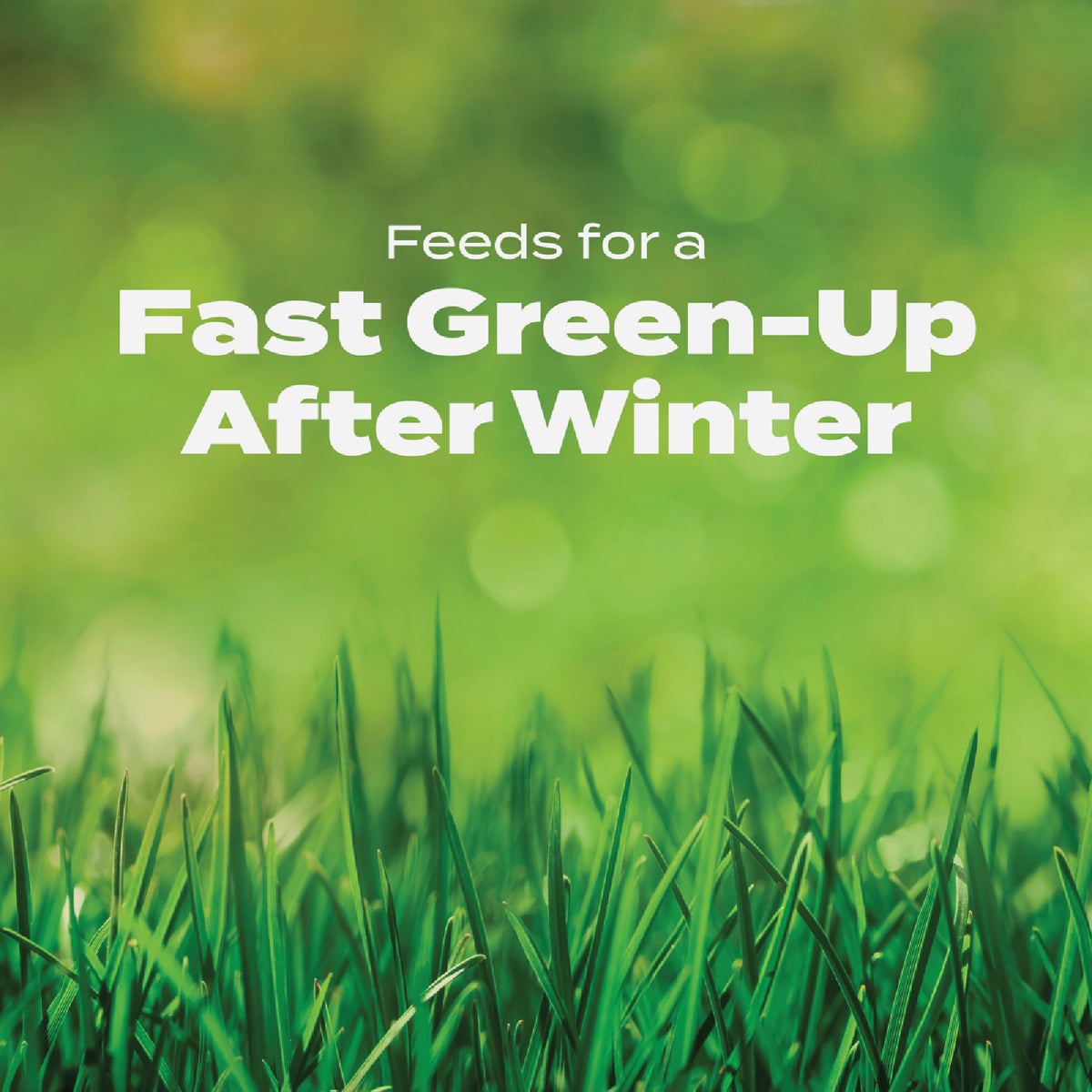 Scotts Turf Builder 40.05 Lb. 15,000 Sq. Ft. Halts Crabgrass Preventer with Lawn Food Image 4