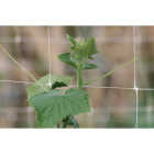 Tenax Hortanova 48 In. x 8 Ft. Polypropylene Trellis Netting Image 6