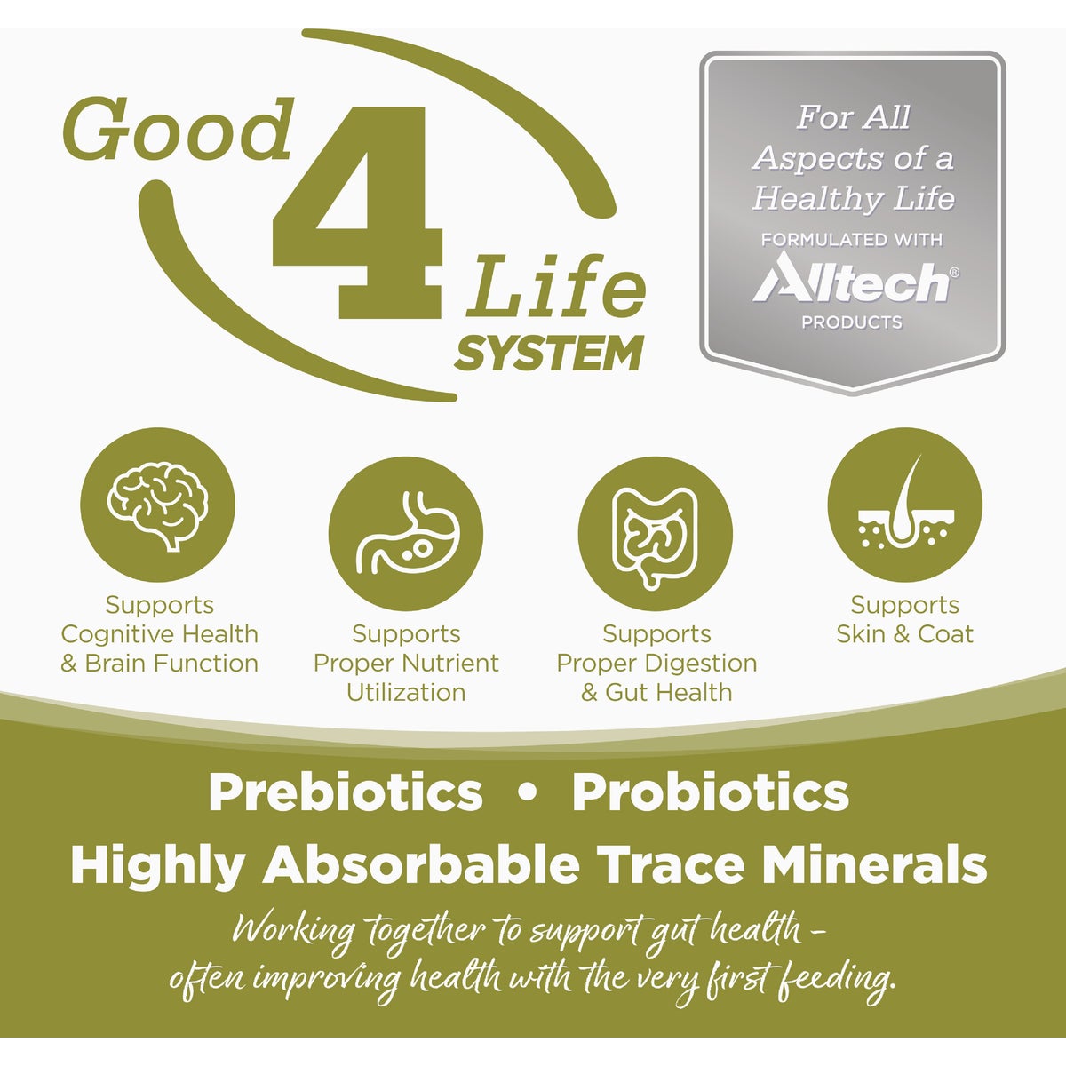 NutriSource 12 Lb. Chicken & Rice Dry Senior Cat Food Image 6