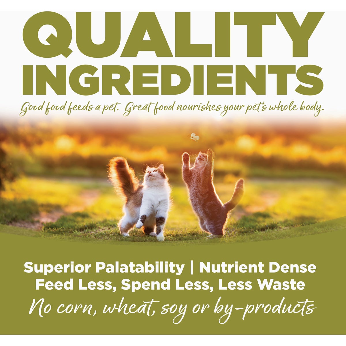 NutriSource 12 Lb. Chicken & Rice Dry Senior Cat Food Image 4