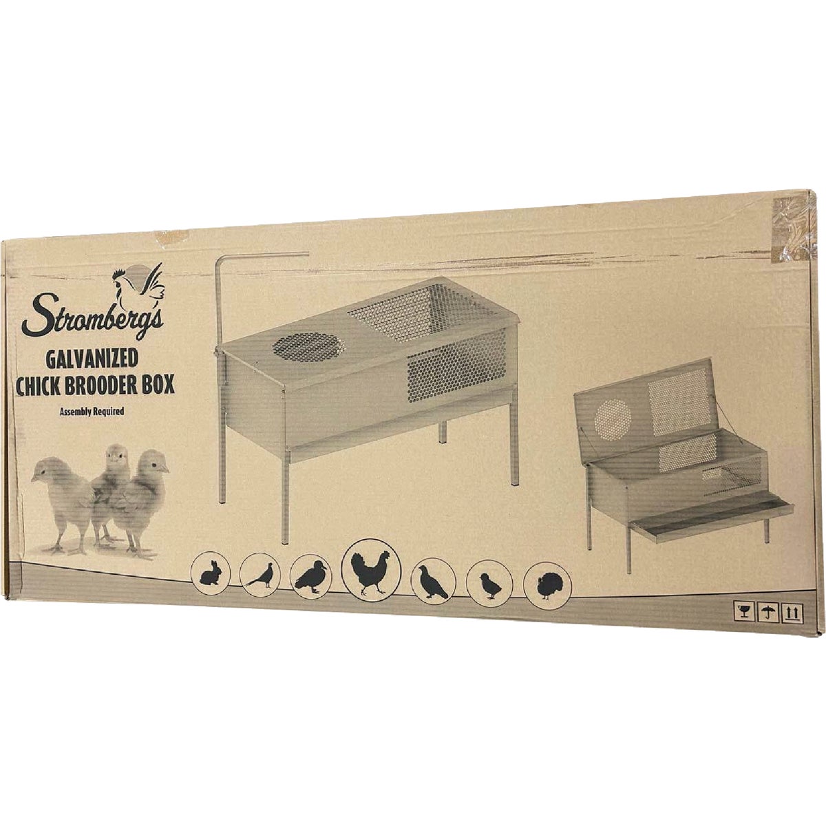 Stromberg's Stand Up Chick Brooder Image 3