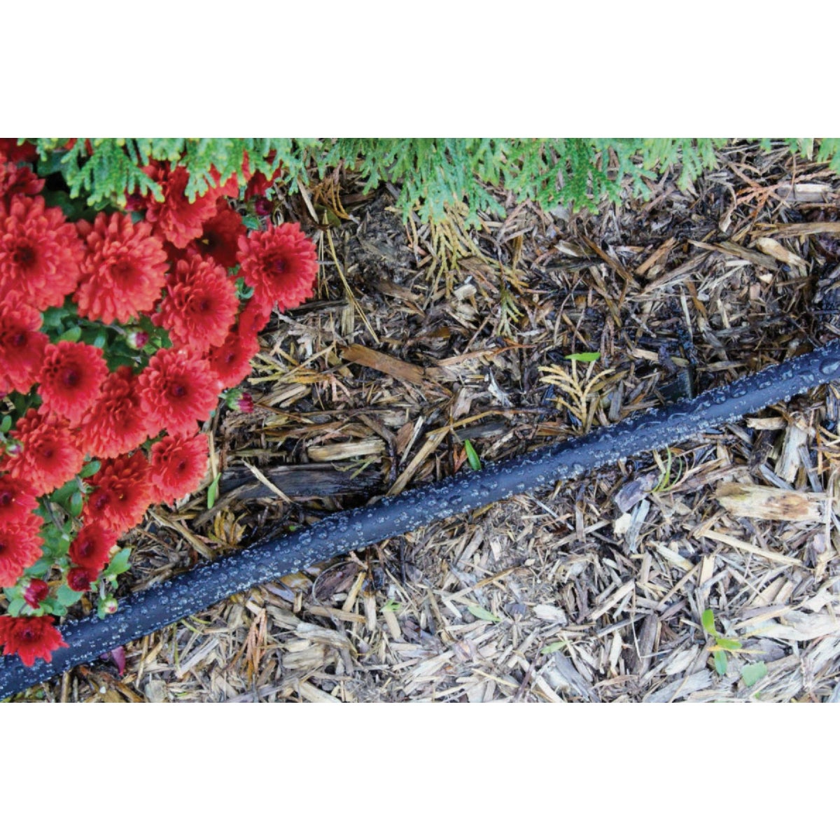 Gilmour 5/8 In. Dia. x 25 Ft. Flat Soaker Hose Image 3