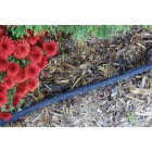 Gilmour 5/8 In. Dia. x 25 Ft. Flat Soaker Hose Image 3