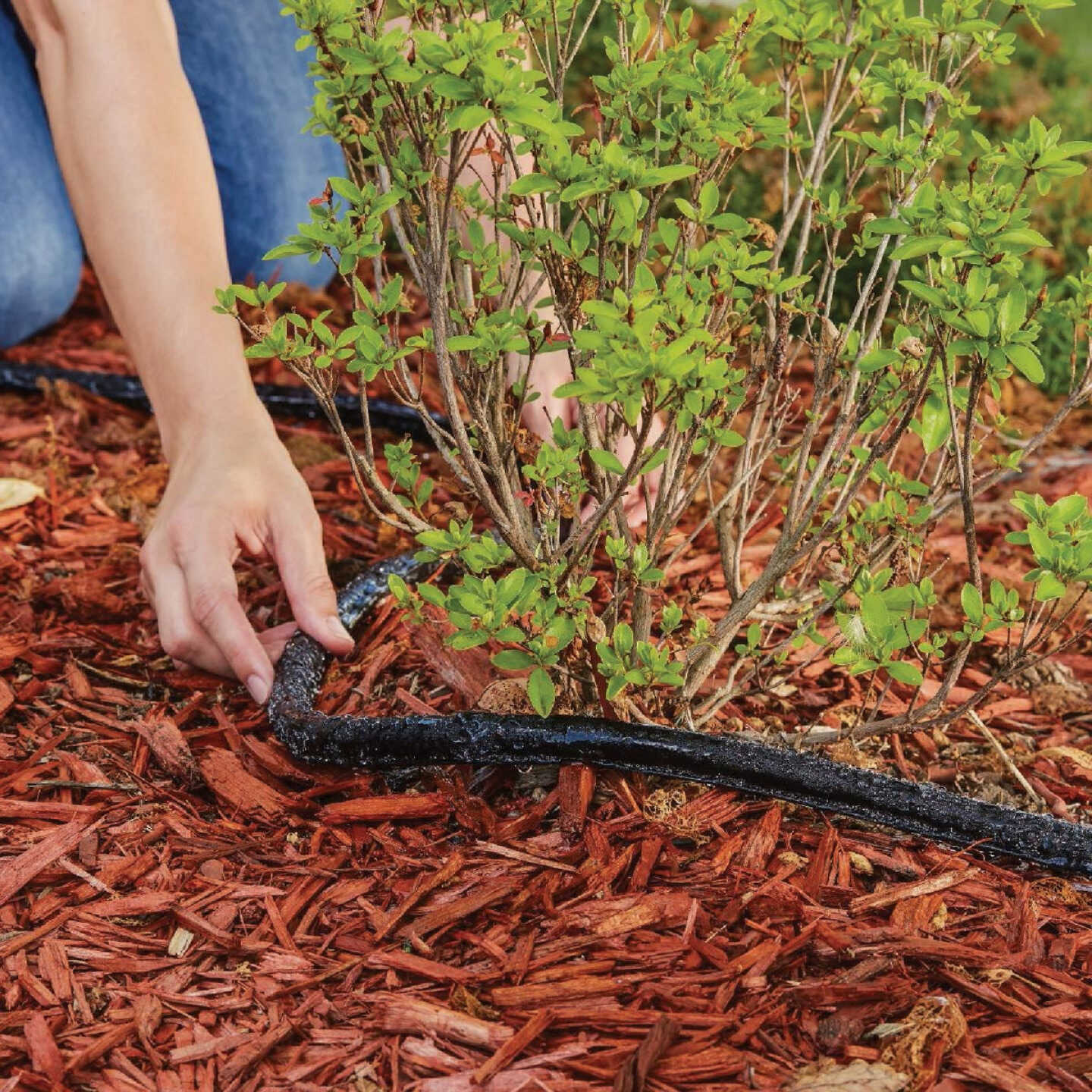 Gilmour 5/8 In. Dia. x 25 Ft. Flat Soaker Hose Image 2