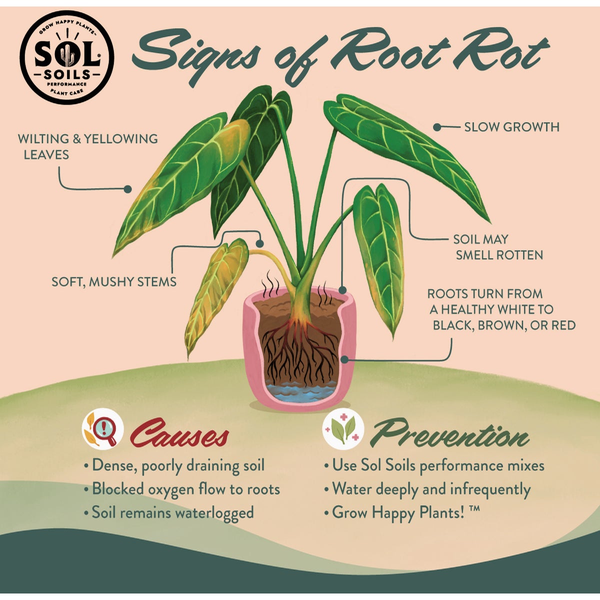 Sol Soils 1 Qt. LECA Balls Image 7