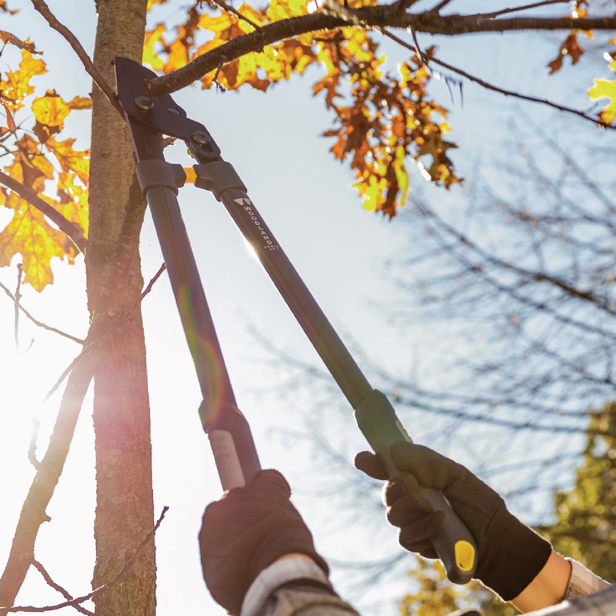 Woodland 28 In. LeverAction Heavy Duty Lopper Image 2