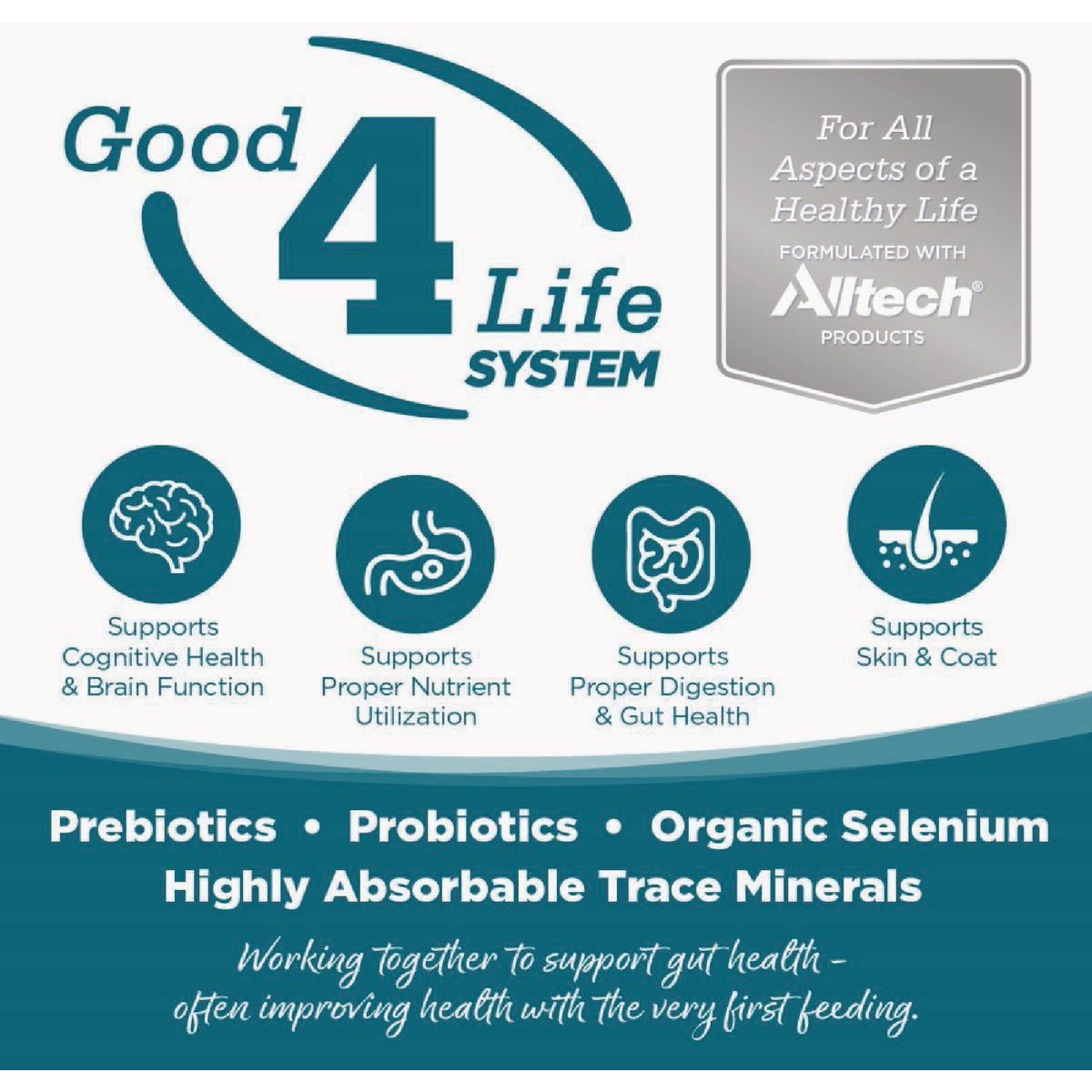 NutriSource 12.3 Oz. Lamb & Rice Formula Wet Dog Food Image 6