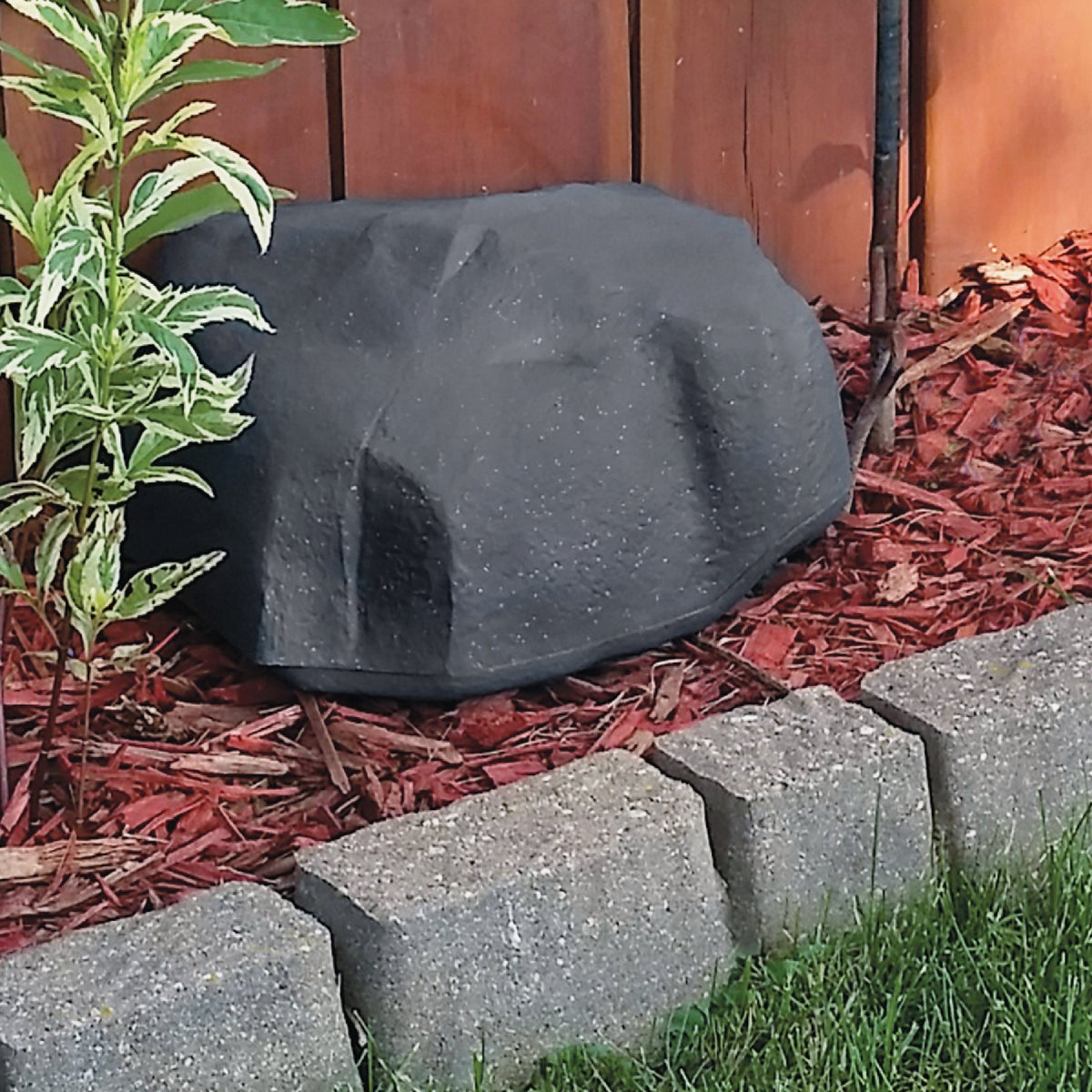 TOMCAT Refillable Rockspace Bait Station with 15 Block Baits & 1 Station Image 4