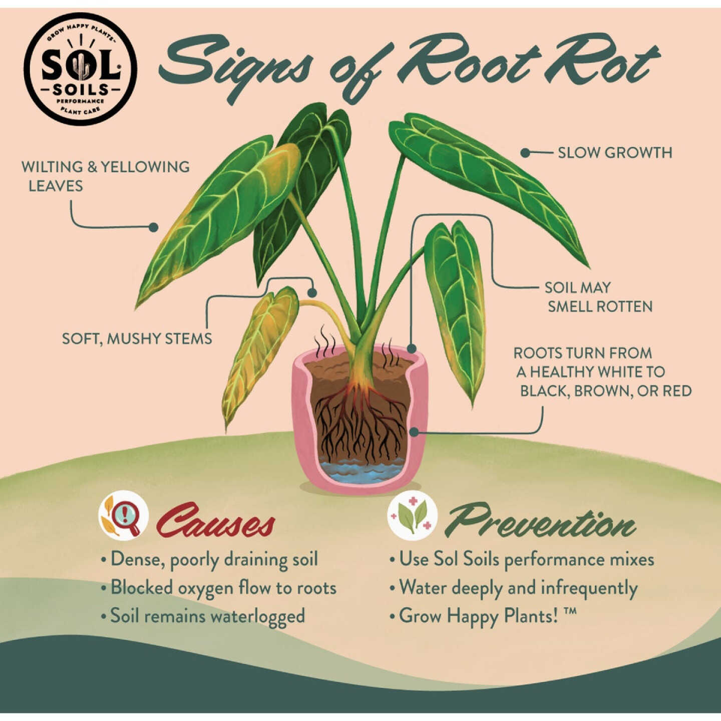 Sol Soils 2 Qt. LECA Balls Image 6