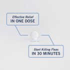 PetArmor CapAction 2 to 25 Lb. Dog Flea Tabs (6-Pack) Image 2