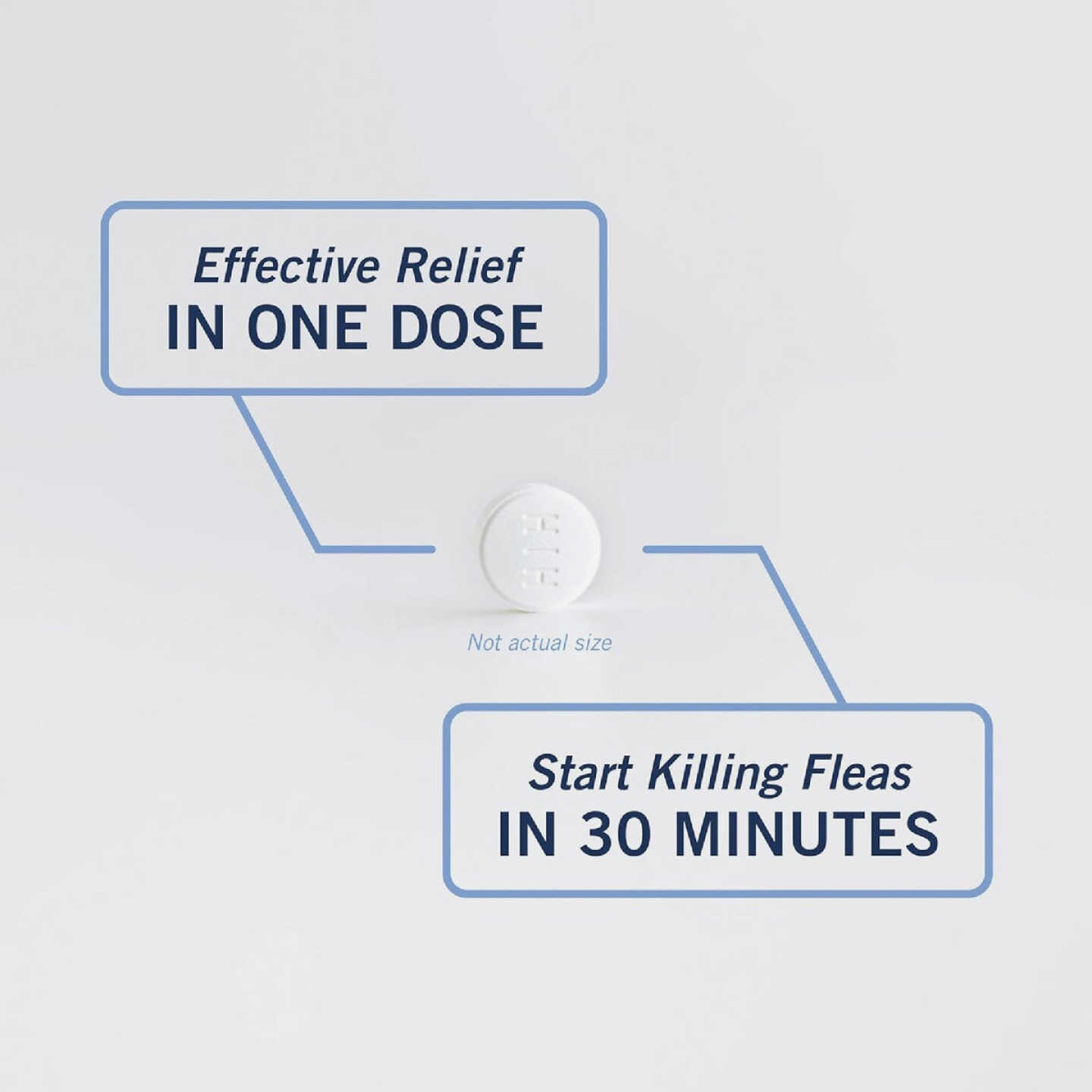 PetArmor CapAction 2 to 25 Lb. Dog Flea Tabs (6-Pack) Image 2