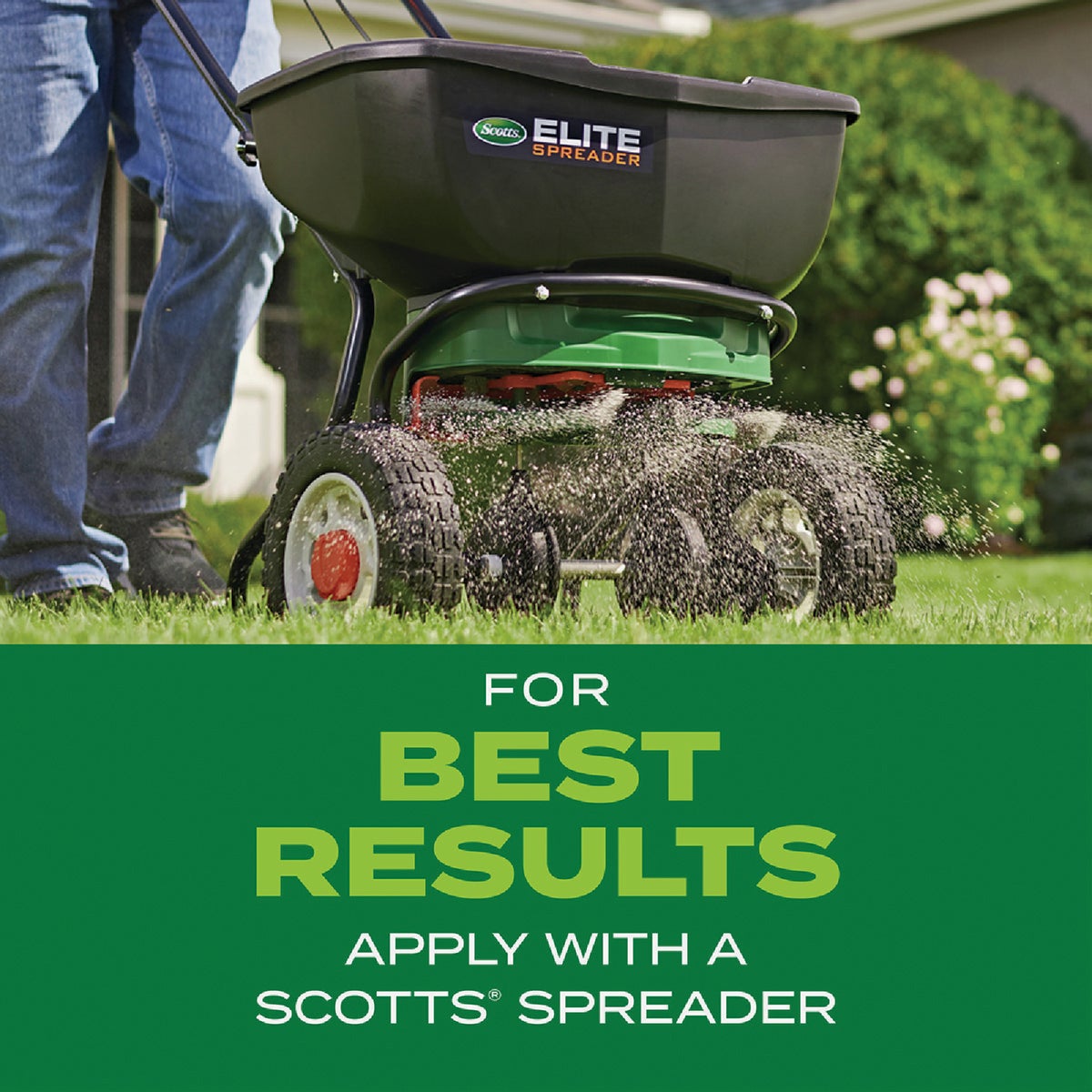 Scotts Turf Builder Rapid Grass 16 Lb. 8000 Sq. Ft. Sun & Shade Mix Grass Seed & Fertilizer Combination Image 7