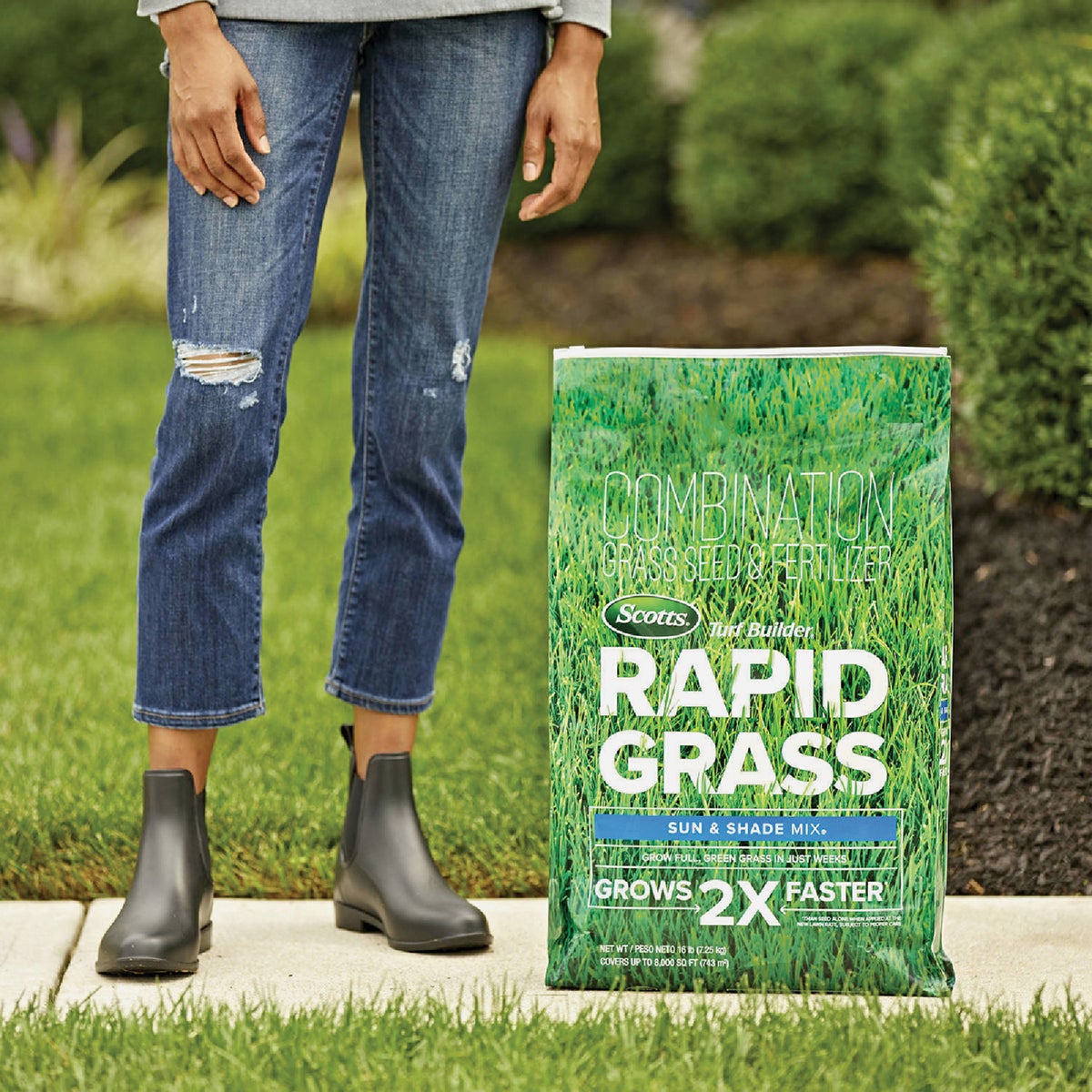 Scotts Turf Builder Rapid Grass 16 Lb. 8000 Sq. Ft. Sun & Shade Mix Grass Seed & Fertilizer Combination Image 2