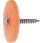 Do it Best 2-1/2 In. 12 ga Electrogalvanized Cap Nails (2000-Count, 16 Lb.) Image 1