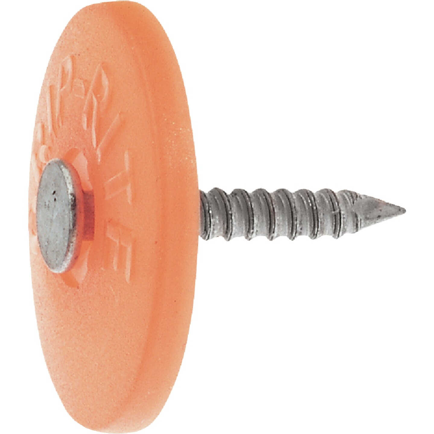 Do it Best 2-1/2 In. 12 ga Electrogalvanized Cap Nails (2000-Count, 16 Lb.) Image 1
