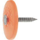 Do it Best 1 In. 12 ga Electrogalvanized Cap Nails (2000-Count, 6 Lb.) Image 1