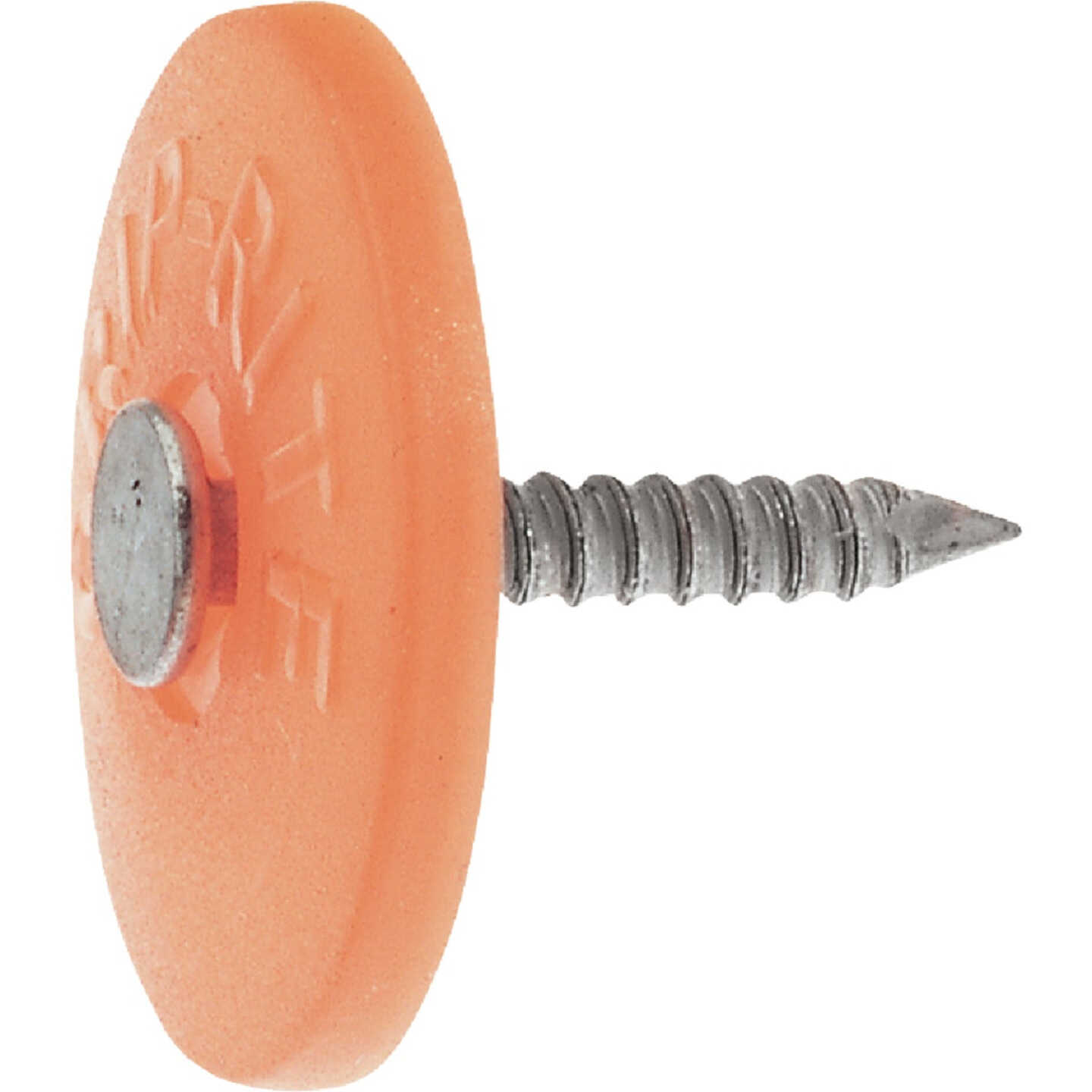 Do it Best 1 In. 12 ga Electrogalvanized Cap Nails (2000-Count, 6 Lb.) Image 1