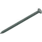 Do it 8d x 2-1/2 In. 10-1/2 ga Hot Galvanized Common Nails (101-Count, 1 Lb.) Image 1