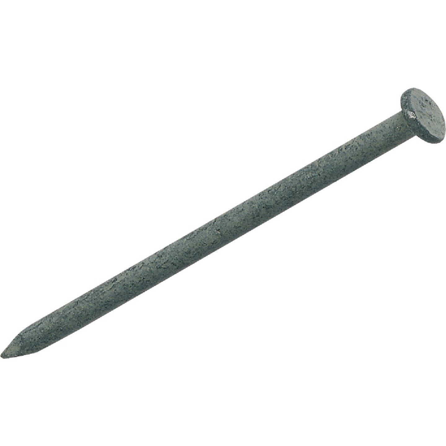 Do it 8d x 2-1/2 In. 10-1/2 ga Hot Galvanized Common Nails (101-Count, 1 Lb.) Image 1