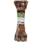 Redbarn Shank Bone Dog Treat Image 1