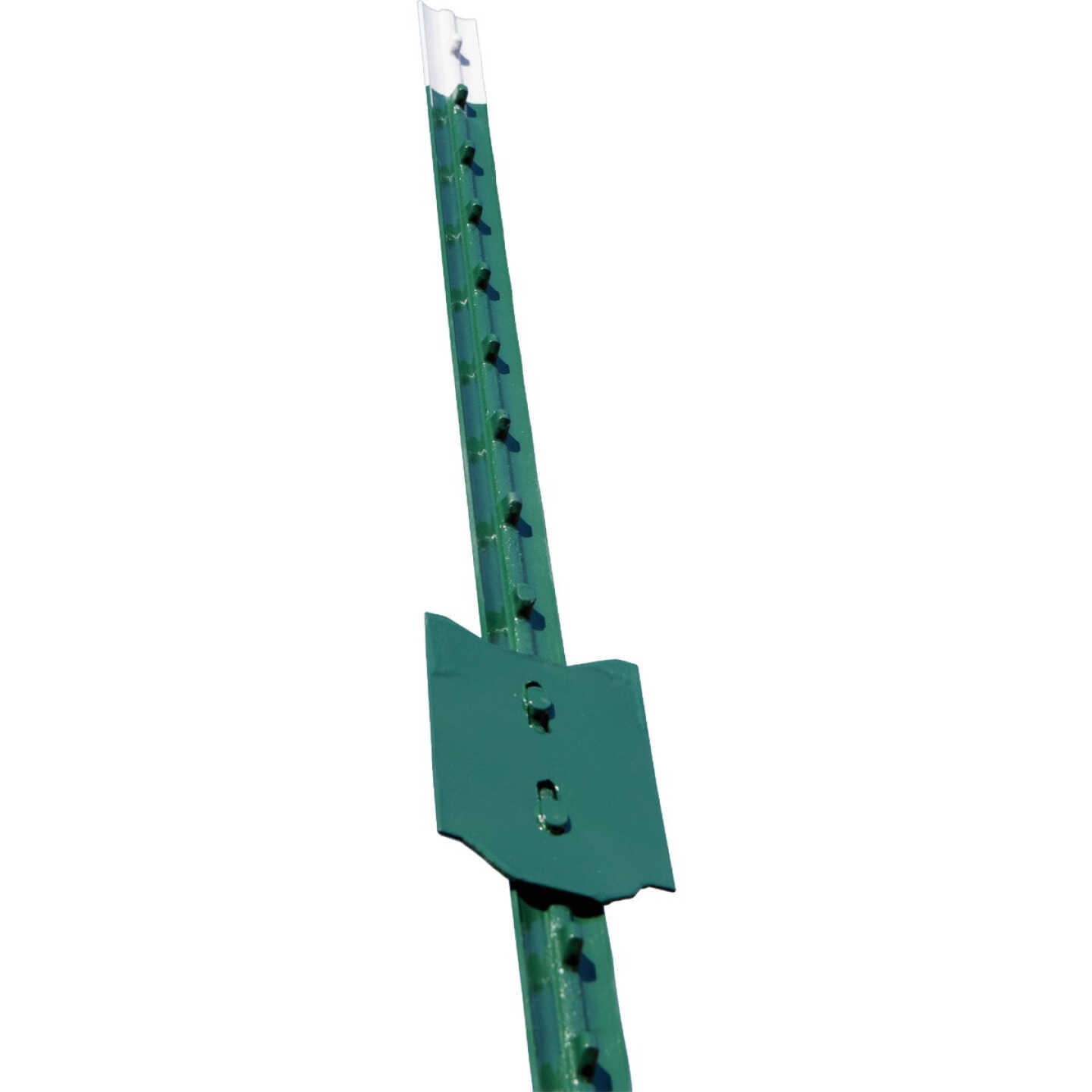 Franklin Industries 6 Ft. Steel 1.25 Lb./Ft. Fence T-Post Image 1