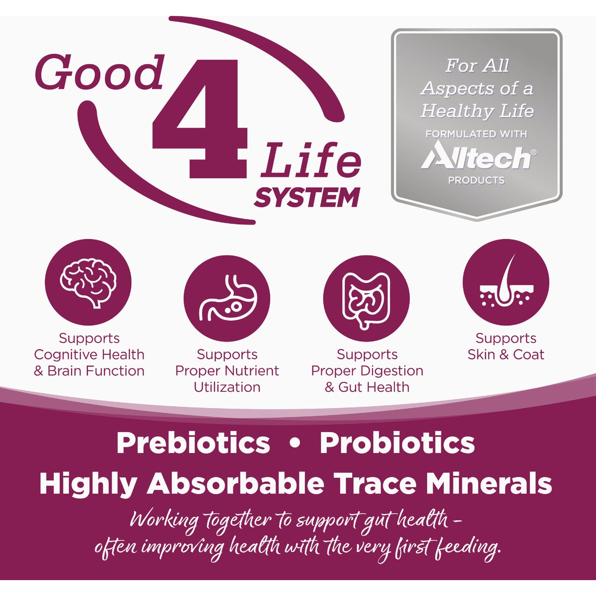 NutriSource 4 Lb. Chicken & Rice Dry Cat & Kitten Food Image 4