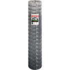 Keystone Red Brand 48 In. H. x 50 Ft. L. (2x4) Welded Wire Utility Fence Image 1