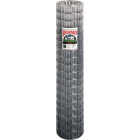 Keystone Red Brand 60 In. H. x 50 Ft. L. (2x4) Welded Wire Utility Fence Image 1