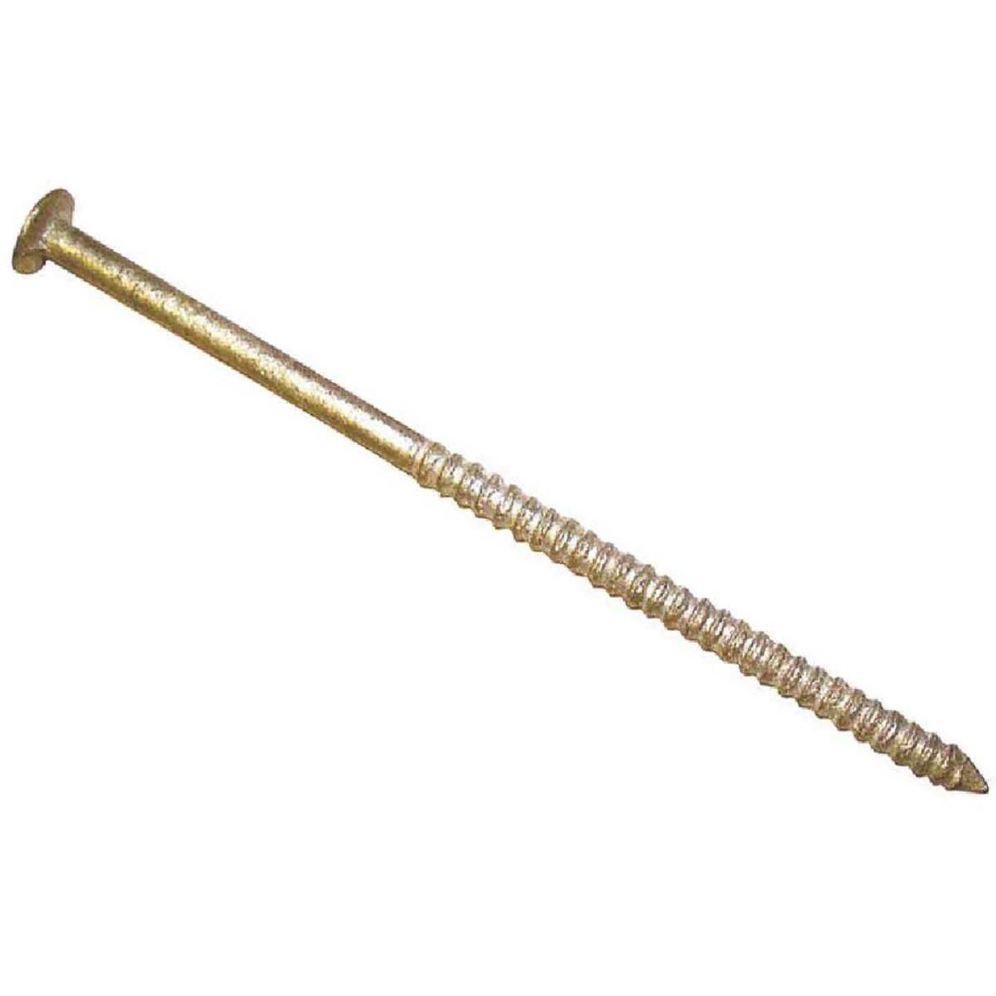 Maze 2 In. 14 ga Hot Dipped Galvanized Wood Siding Nails (1415 Ct., 5 Lb.) Image 1