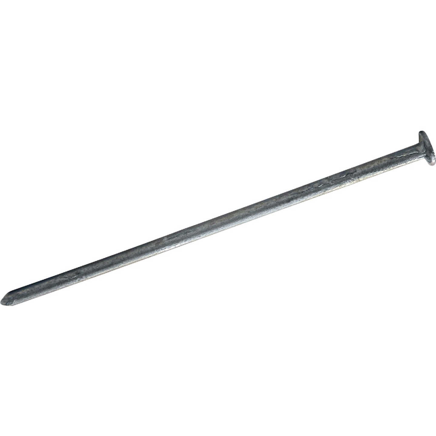 Maze 2-1/2 In. 13 ga Hot Dipped Galvanized Wood Siding Nails (590 Ct., 5 Lb.) Image 1