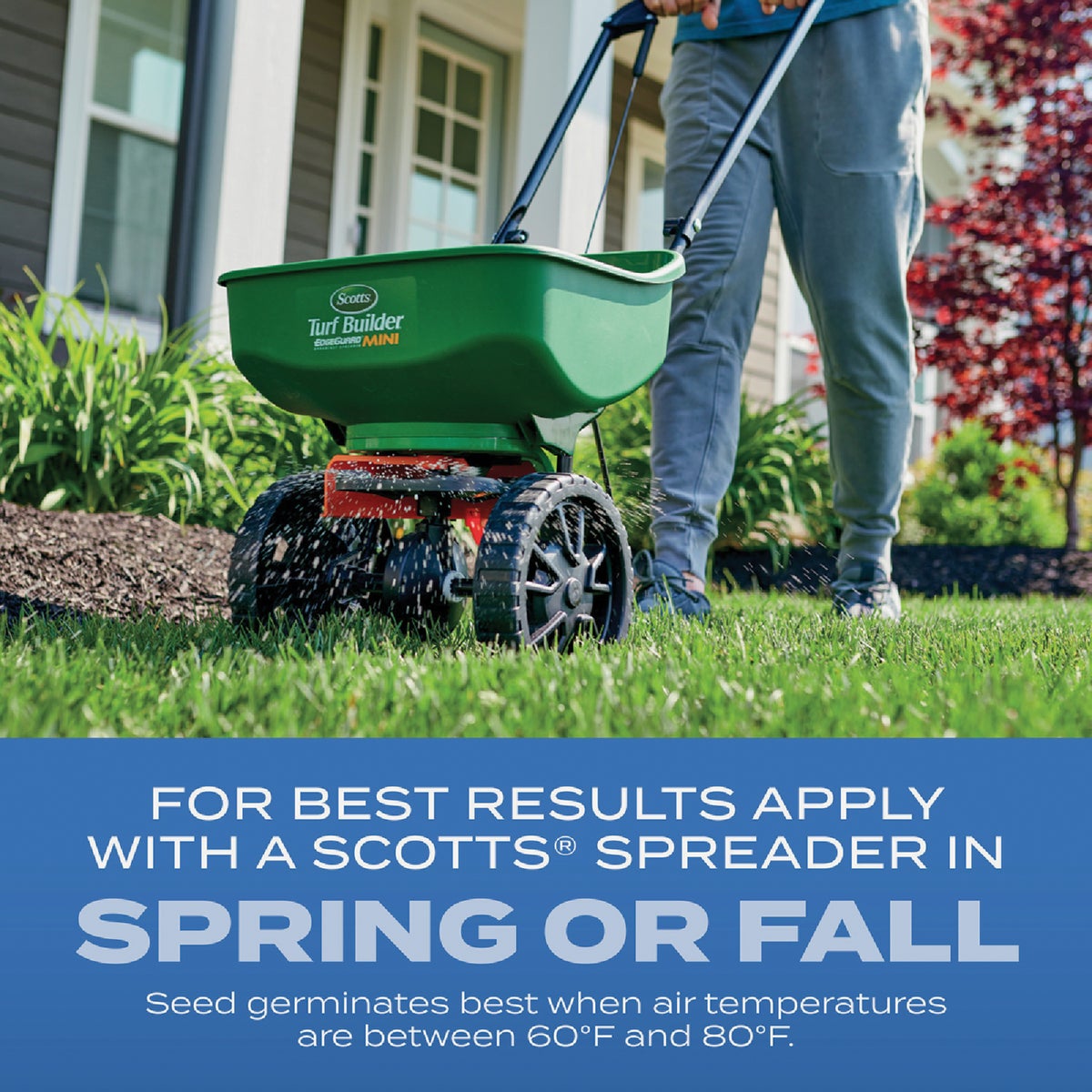 Scotts Turf Builder 2.4 Lb. 200 Sq. Ft. Sun & Shade Mix Grass Seed, Fertilizer, and Soil Improver Combination Image 4