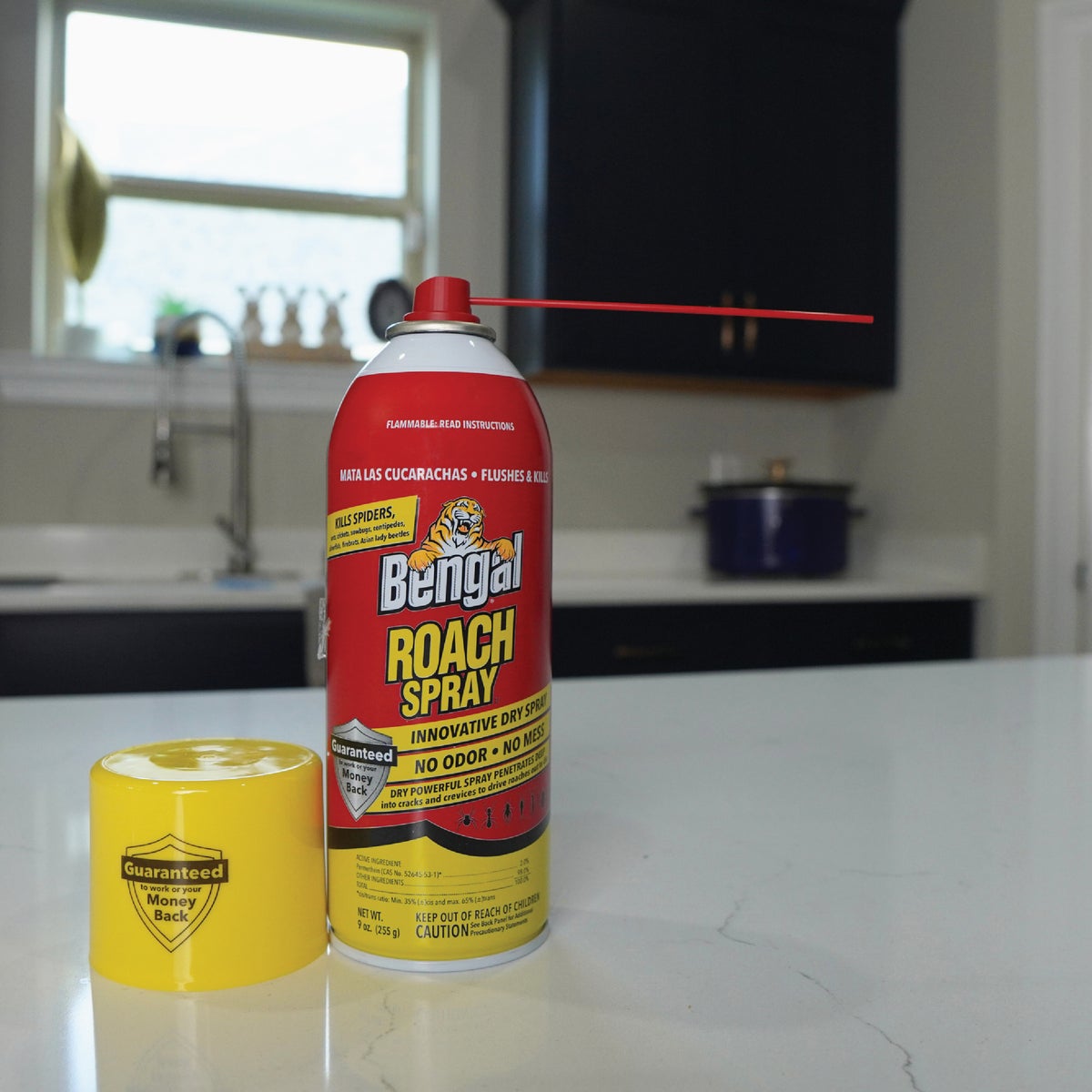 Bengal 9 Oz. Aerosol Spray Roach Killer Image 3