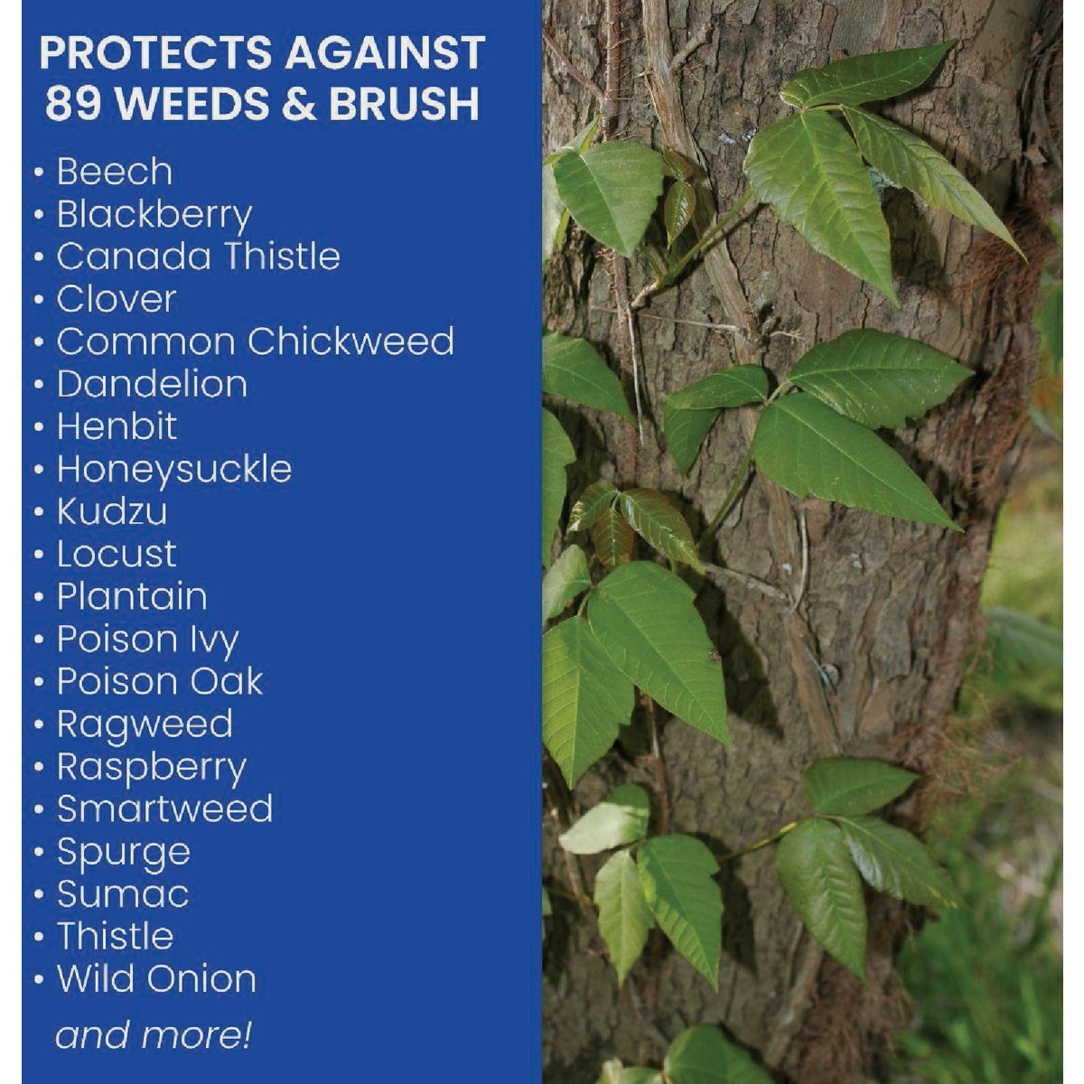 BioAdvanced Brush Killer Plus 1 Gal. Ready To Use Trigger Spray Brush Killer Image 2