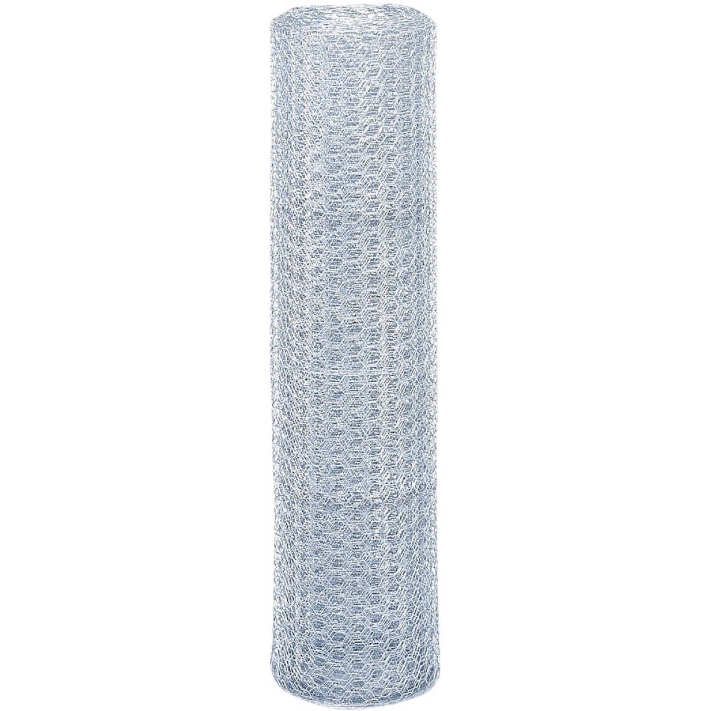 Do it 1 In. x 24 In. H. x 50 Ft. L. Hexagonal Wire Poultry Netting Image 3