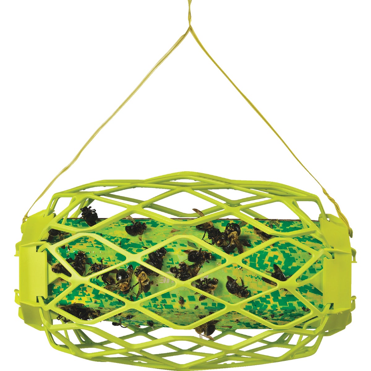 Rescue TrapStik Disposable Carpenter Bee Trap Image 6